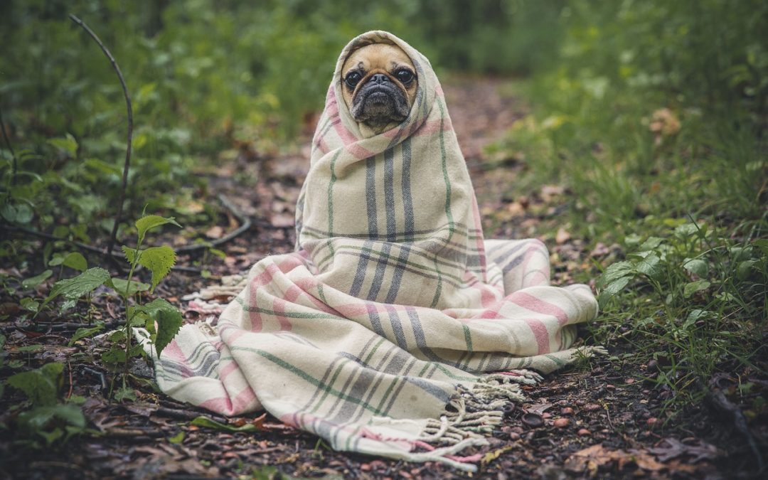 Comment une conseillère en image peut-elle m’aider pour mon relooking ?